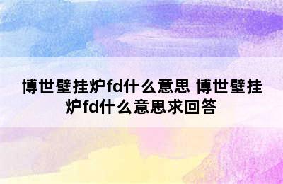 博世壁挂炉fd什么意思 博世壁挂炉fd什么意思求回答